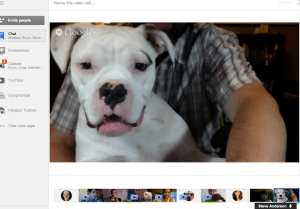 Pets are welcome in online classes